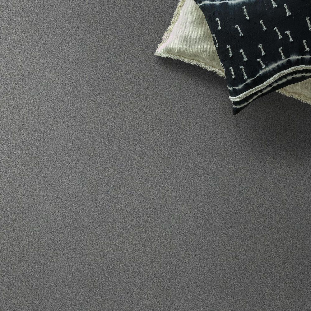 Shaw Tonal Comfort Ii Carpet in Lighthouse Shadows, , large