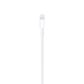 Apple Lightning to USB Cable in White, , large