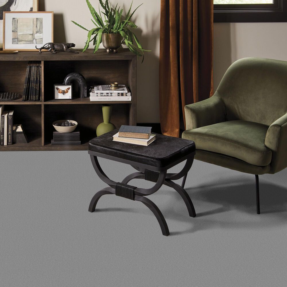 Anderson Tuftex Finery Carpet in Stainless, , large