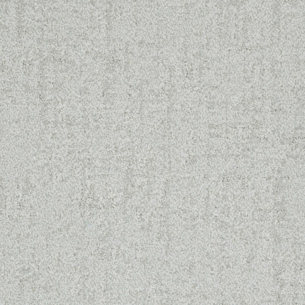 Dixie Home Genuine Carpet in Legitimate, , large