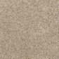 Mohawk Canine Chic Carpet Soapstone, , large