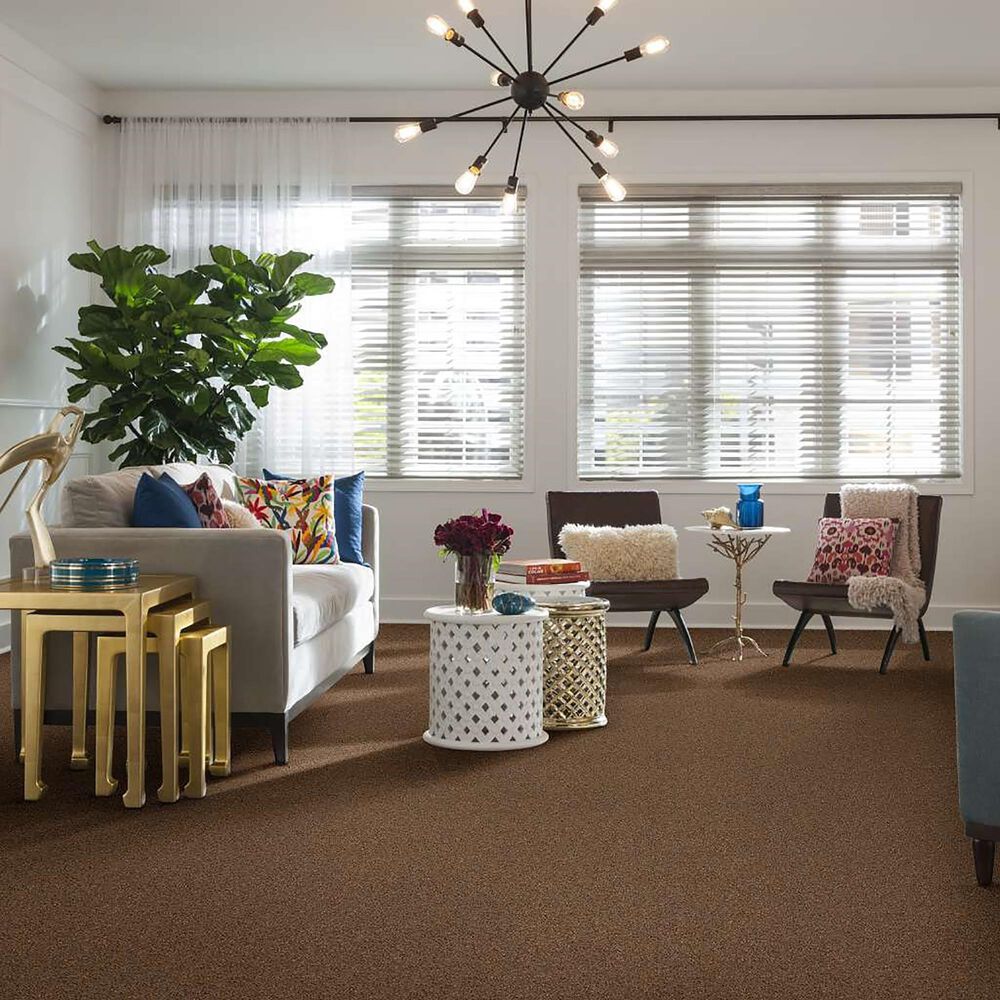 Philadelphia Simply Yours Remember Me Carpet in Pecan Praline, , large