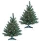 The Gerson Company 2" Colorado Spruce with Clear Lights in Green (Set of 2), , large