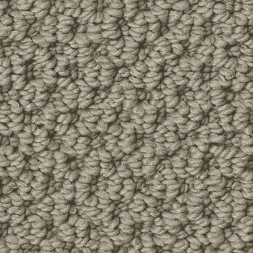 Anderson Tuftex Gracious Carpet in Mocha, , large