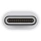 Apple USB-C to USB Adapter in White, , large