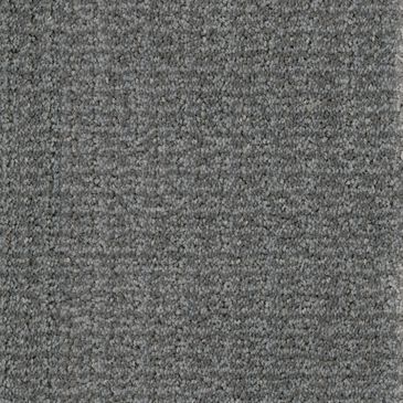 Dixie Home Sensible Carpet in Storm, , large
