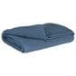 Ashley Gayelery 50" x 60" Throw in Blue, , large