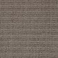 Masland Fascinating Carpet in Truffle, , large