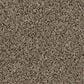 Shaw Culture Shock Carpet in Ponytail, , large