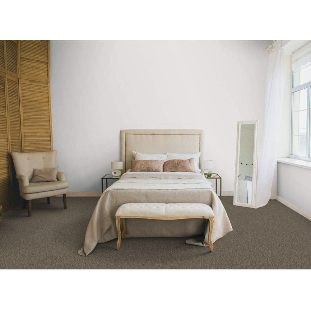 Dixie Home Riverbend Carpet in Boulder, , large