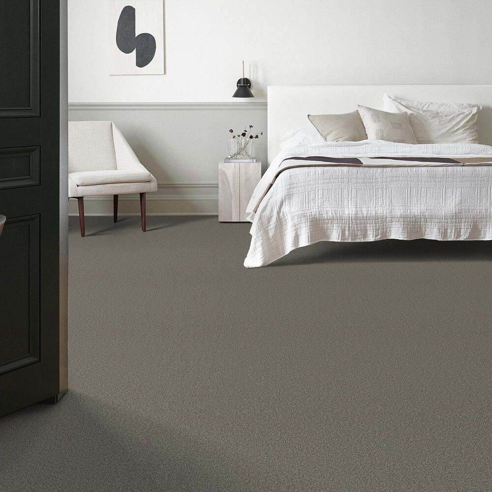 Anderson Tuftex Somerset Carpet in Flannel Gray, , large