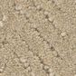 Anderson Tuftex Veranda Carpet in Greige, , large