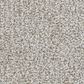 Masland Santo Domingo Carpet in Steadfast, , large