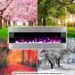 Timberlake Northwest 54" Fire Ice Wall Mount Electric Fireplace in Stainless Steel, , large