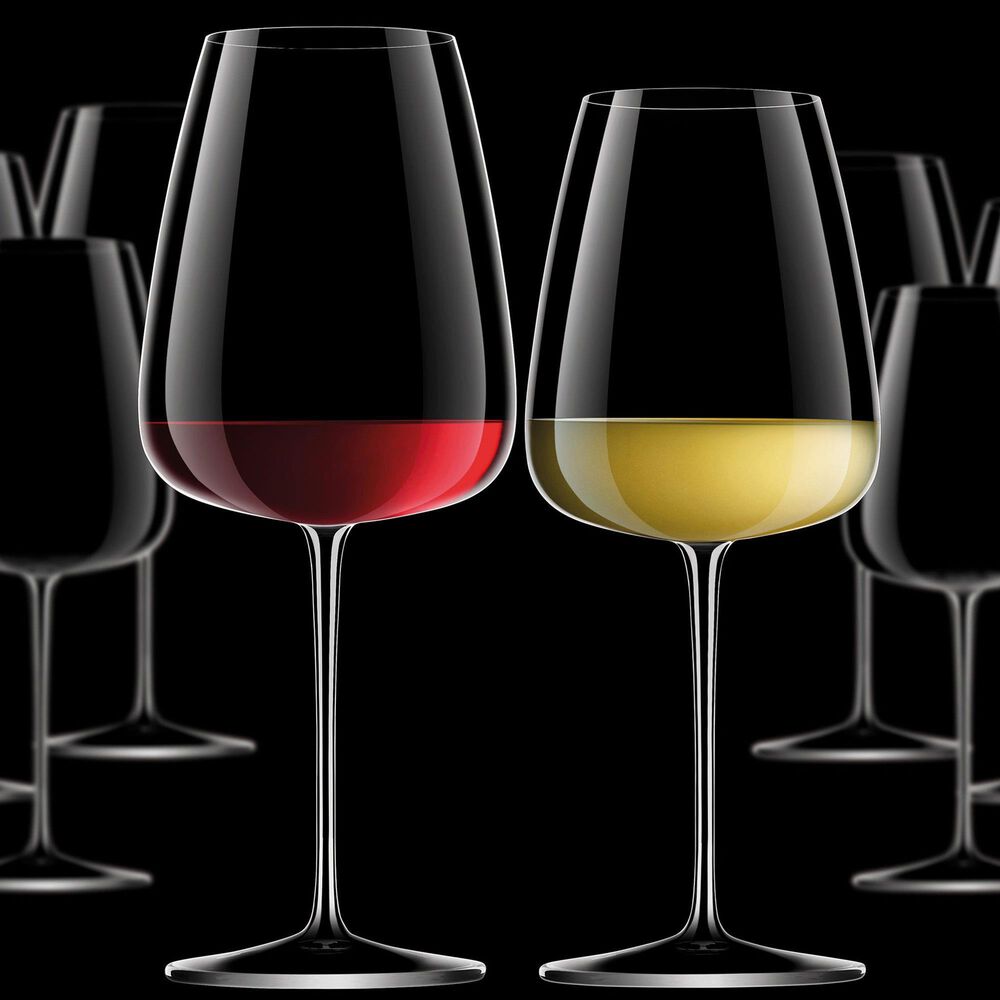 Bormioli Talismano 8-Piece Italian Premium Stemware Set in Clear, , large