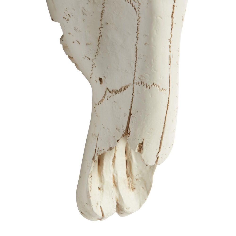 Maple and Jade 12&quot; x 16&quot; Farmhouse Cow Skull Wall Decor in White and Brown, , large