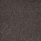 Mohawk Windsor Gardens I Carpet in Dried Peat, , large