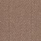 Dixie Home Village Vibe Carpet in Saddle, , large