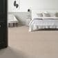 Anderson Tuftex Luxe Feel II Carpet in Neutral Ground, , large