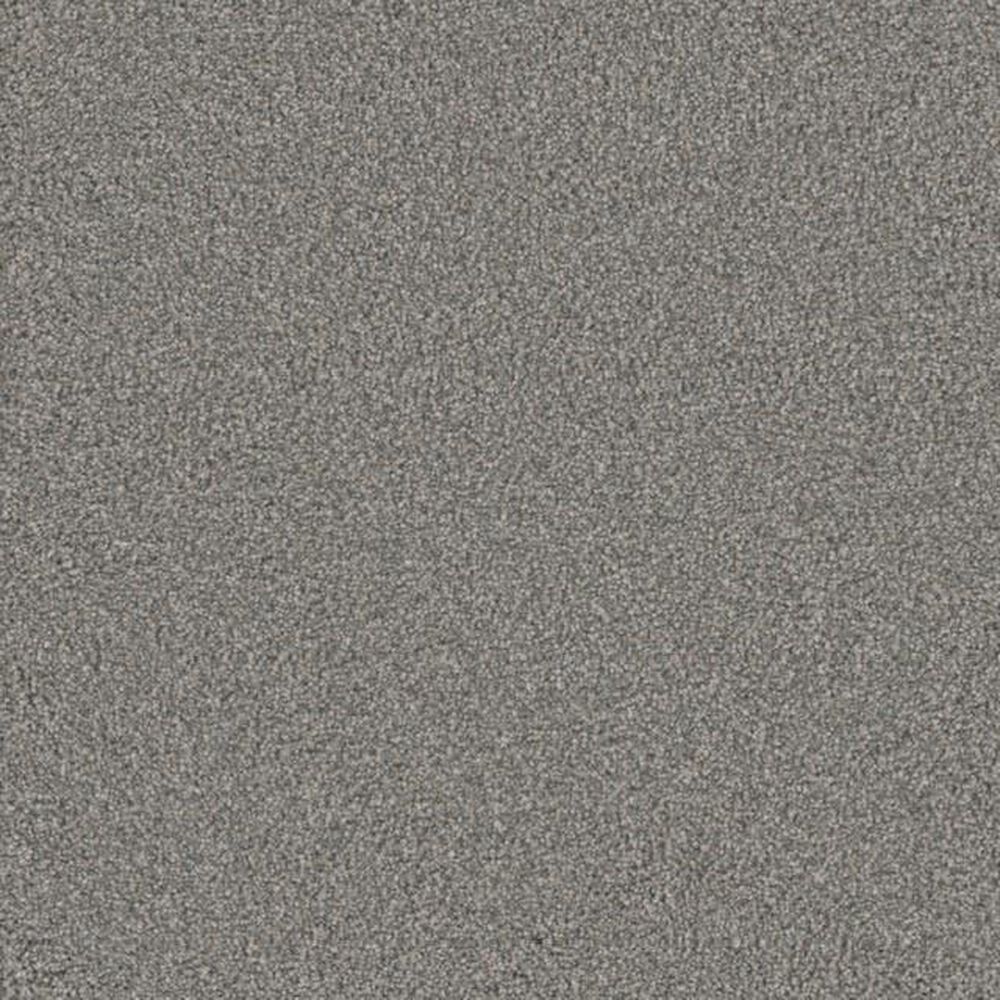 Dream Weaver PS850 Carpet in Rugby, , large