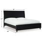 Ashley Danziar King Panel Bed in Matte Black, , large
