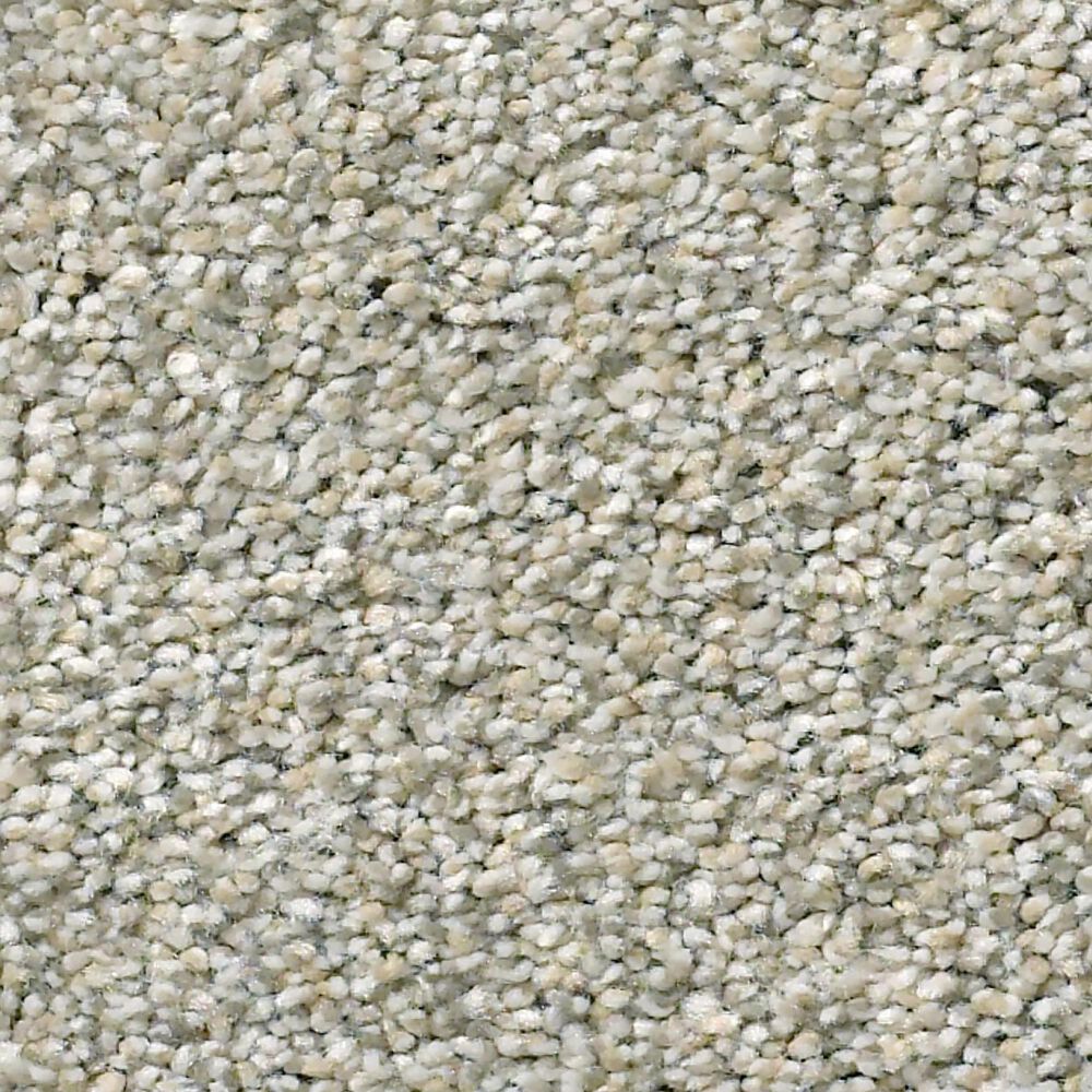 Shaw Simply the Best Momentum I Carpet in Moondance, , large