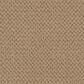 Masland Festivities Carpet in Rustic Brass, , large