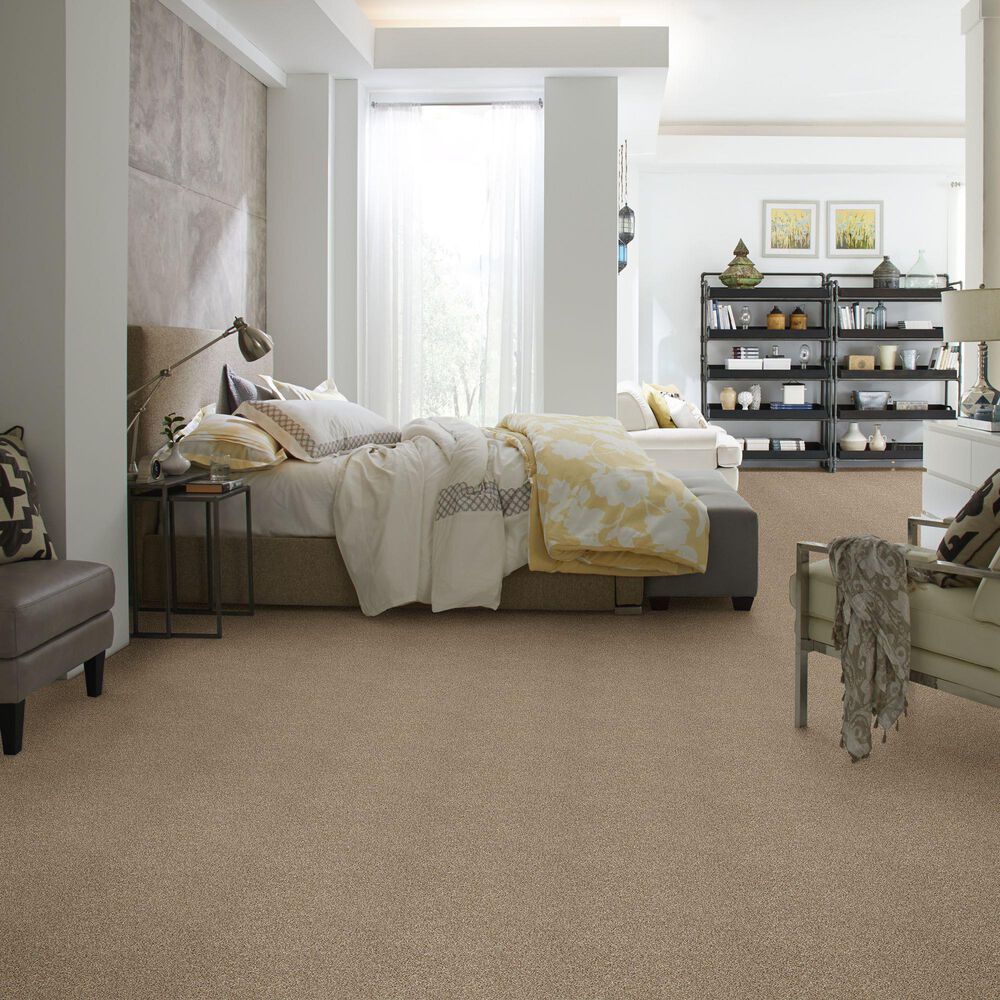 Shaw Find Your Comfort TT I Carpet in Camping Trip, , large