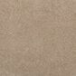 Mohawk Luxuriant Feel Carpet in Tradition, , large