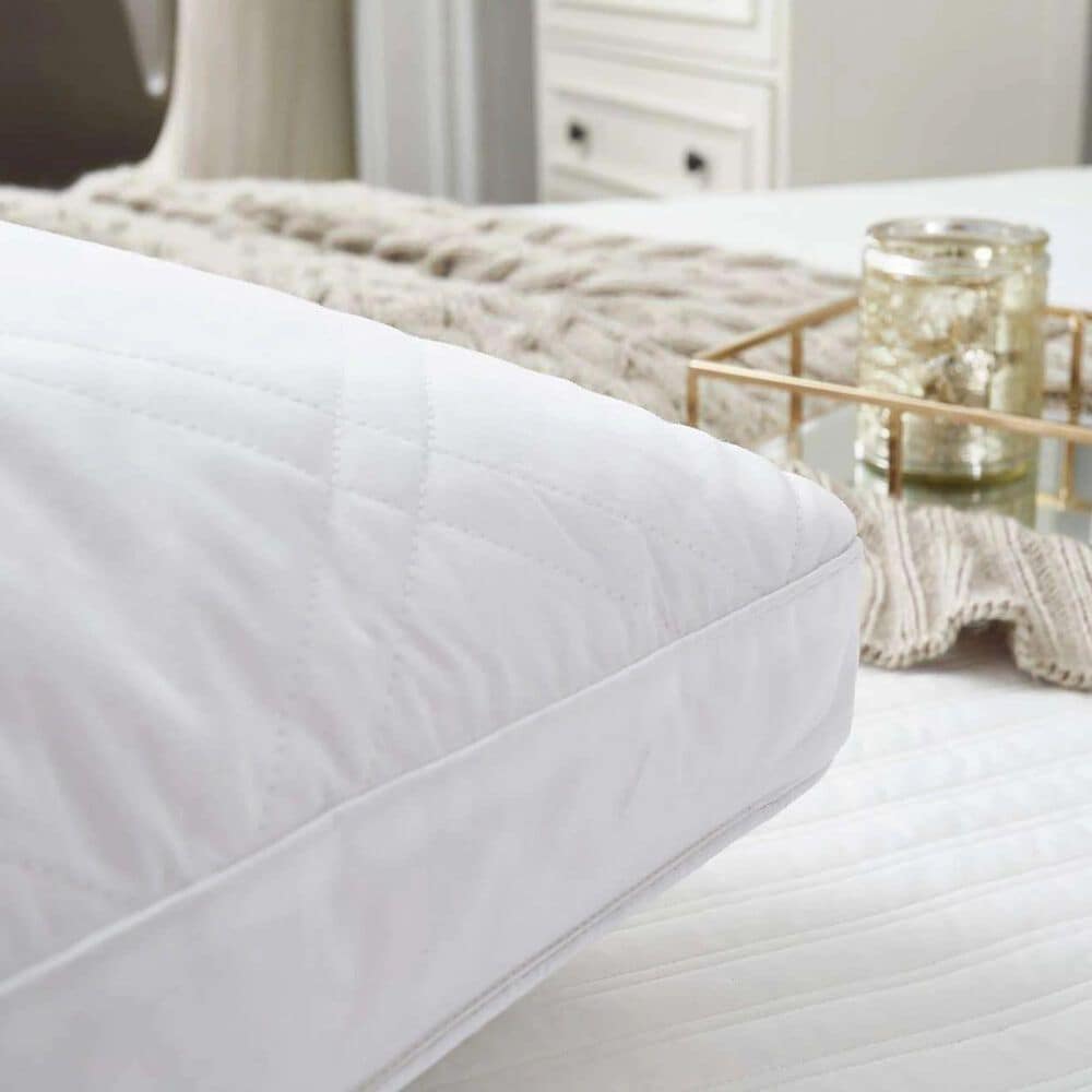 Blue Ridge Home Fashions Jumbo 2-Pack Down Pillows in White, , large