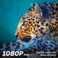 Element 40" 1080P FHD Xumo Smart TV, , large