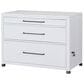 Riva Ridge Norah Workstation Combo File in White, , large