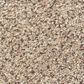 Shaw Foundations Take The Floor Accent II Carpet in Desert Sunrise, , large