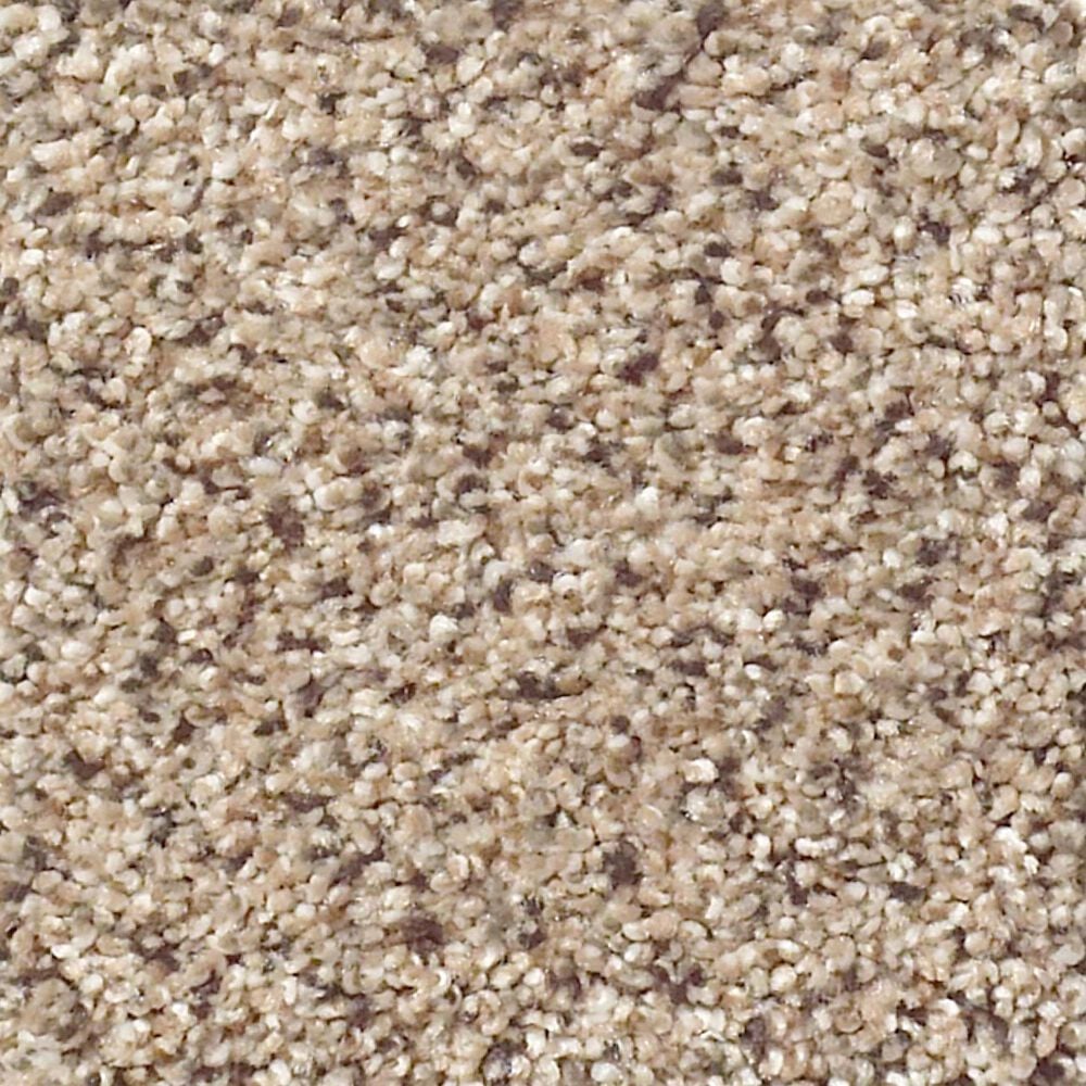 Shaw Foundations Take The Floor Accent II Carpet in Desert Sunrise, , large