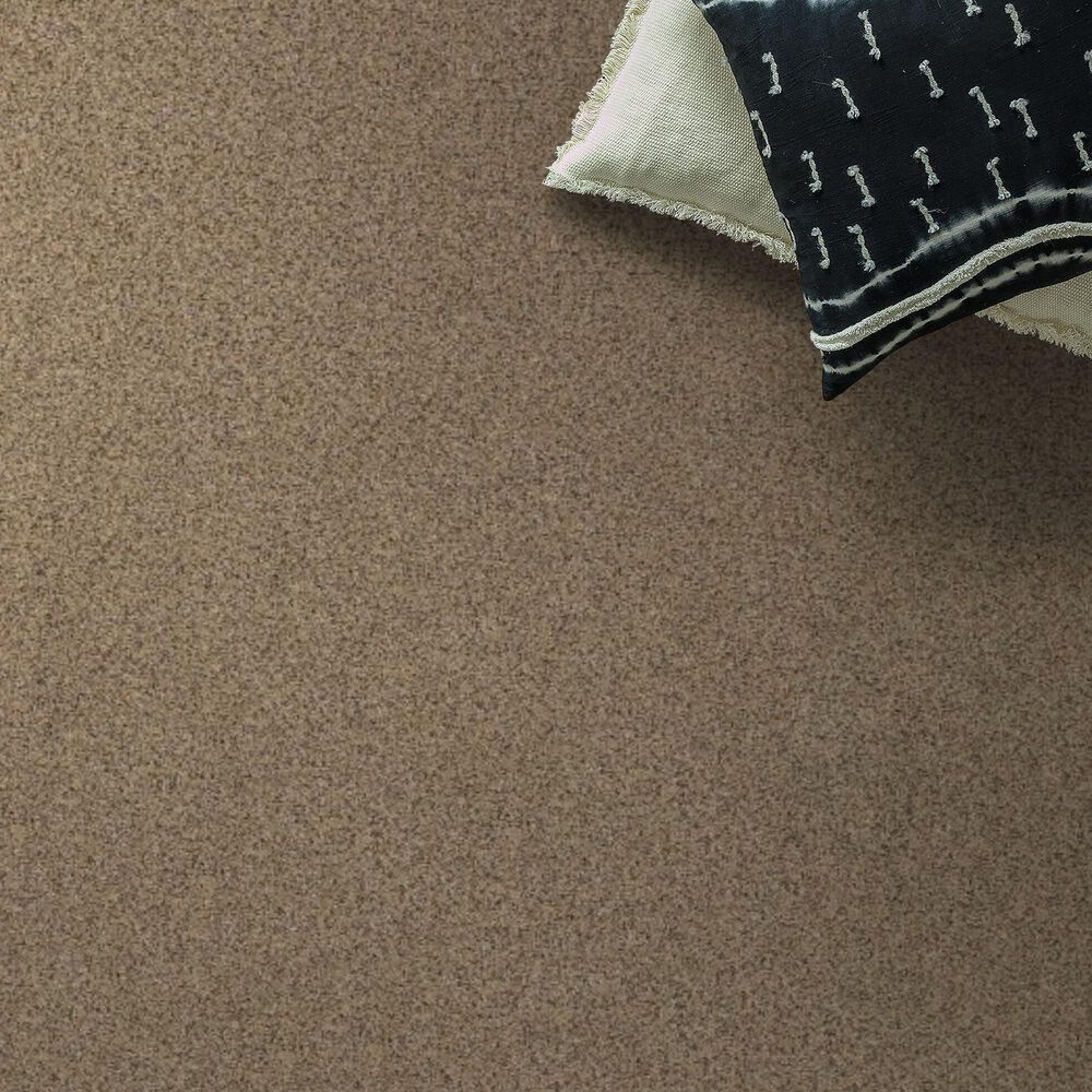 Anderson Tuftex West Peak Carpet in Terrazo, , large