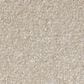 Shaw Luxuriant Carpet in Whiskers, , large
