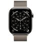 Apple Watch Series 11 (GPS+Cellular) 46mm Titanium Case with Milanese Loop - M/L in Natural and 2-Year AppleCare+, , large