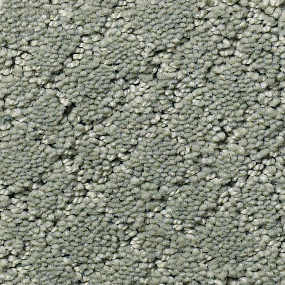 Anderson Tuftex Recital Carpet in Pine Forest, , large
