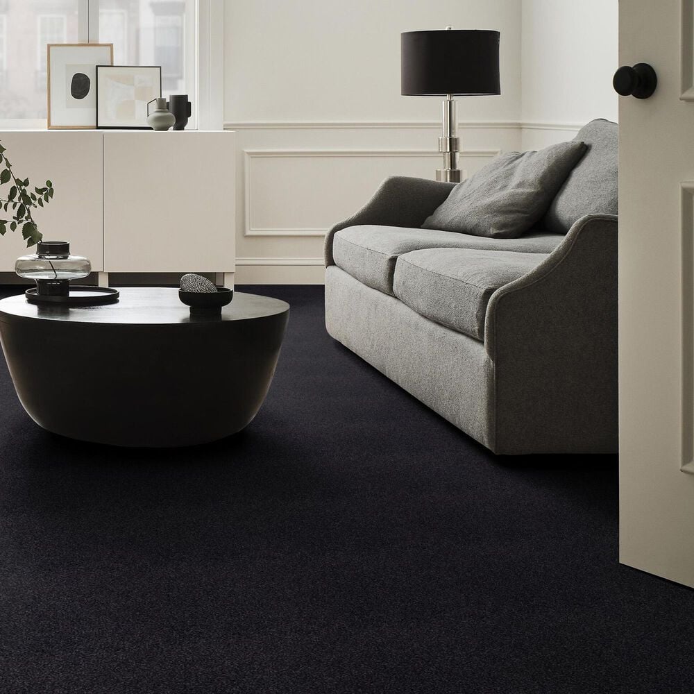 Shaw Tonal Comfort I Carpet in Movie Night, , large