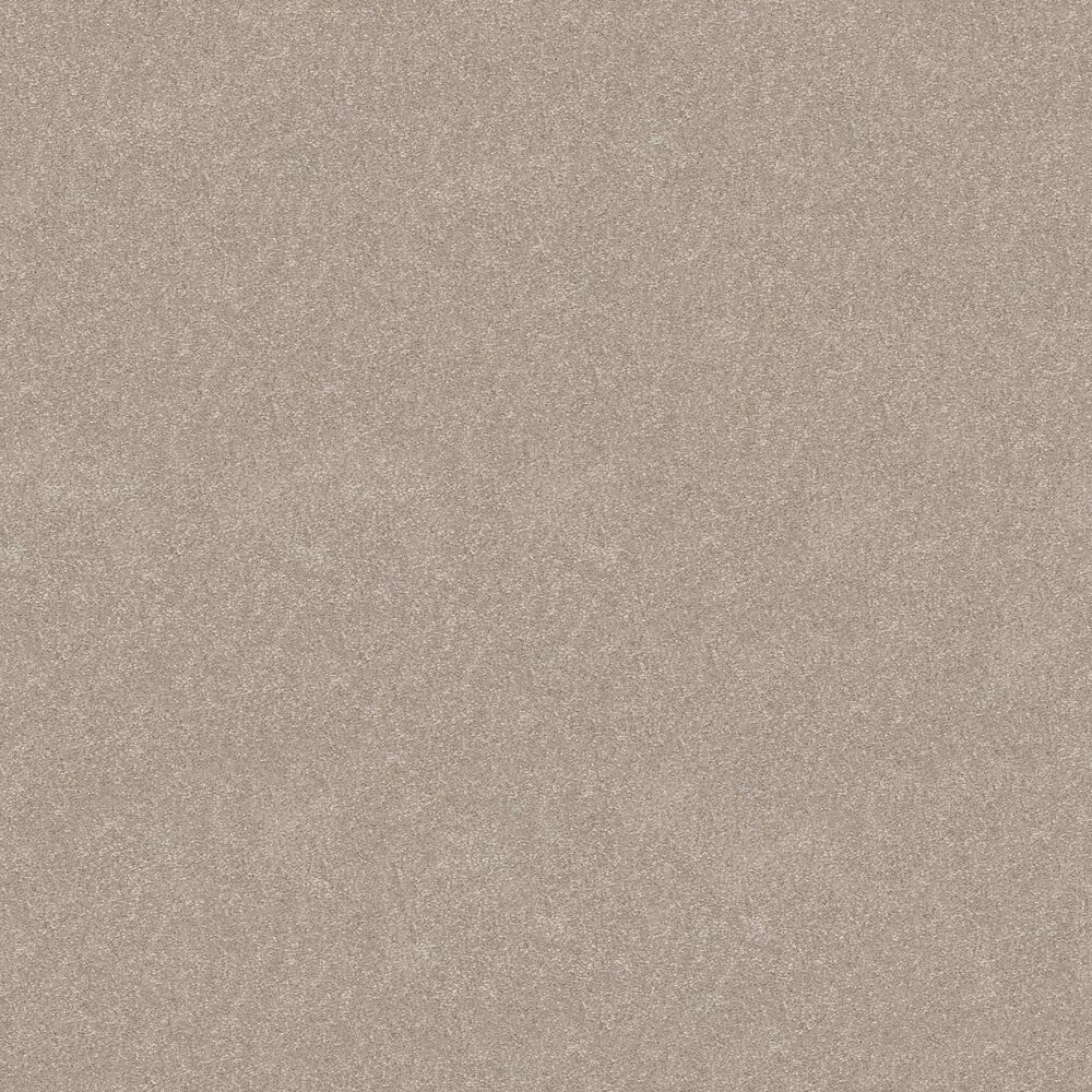 Shaw Hard At Play II Carpet in Soft Sense, , large