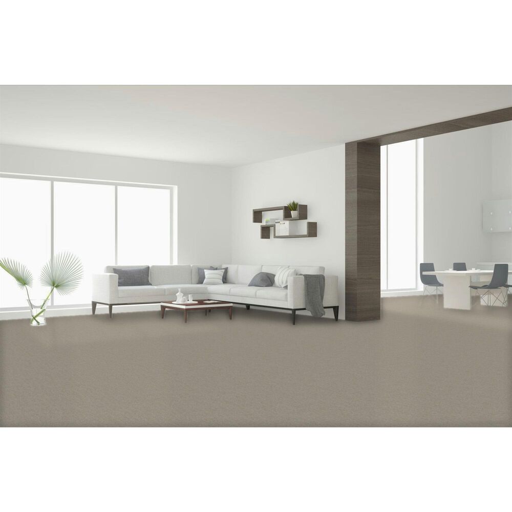 Dream Weaver Baja II Carpet in Yuca Bloom, , large