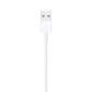 Apple Lightning to USB Cable in White, , large