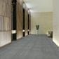 Shaw Immerse 24" x 24" Carpet Tile in Contemplate, , large