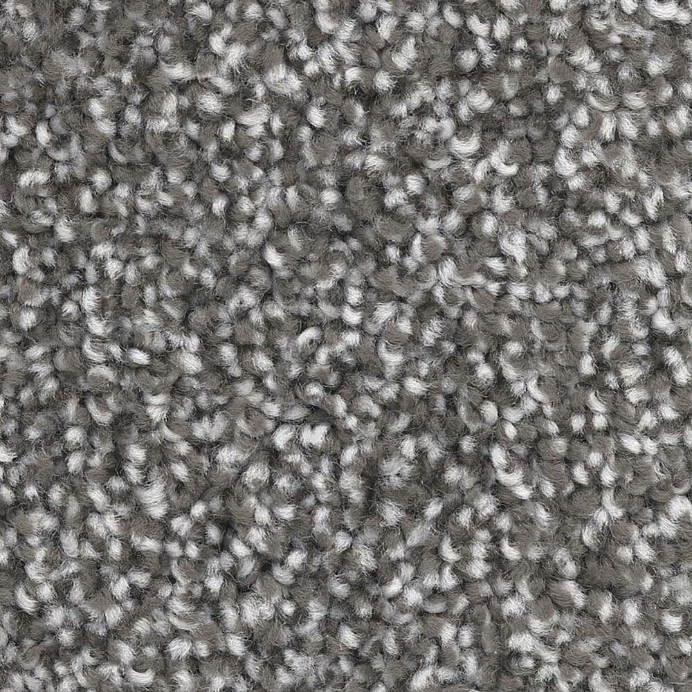 Dixie Home Dx835 Carpet in Birch, , large