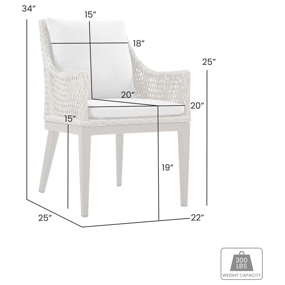 Blue River Silvana Outdoor Dining Chair with Beige Cushion in Gray (Set of 2), , large
