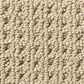 Anderson Tuftex Cabo Cove Carpet in Golden, , large
