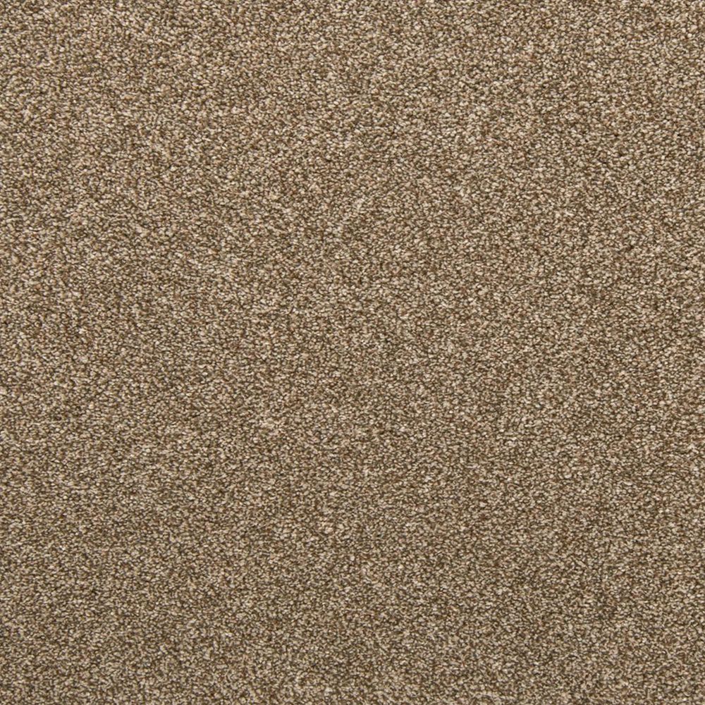 Mohawk Dynamic Quality I Carpet in Spice Cake, , large