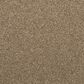 Mohawk Dynamic Quality I Carpet in Spice Cake, , large