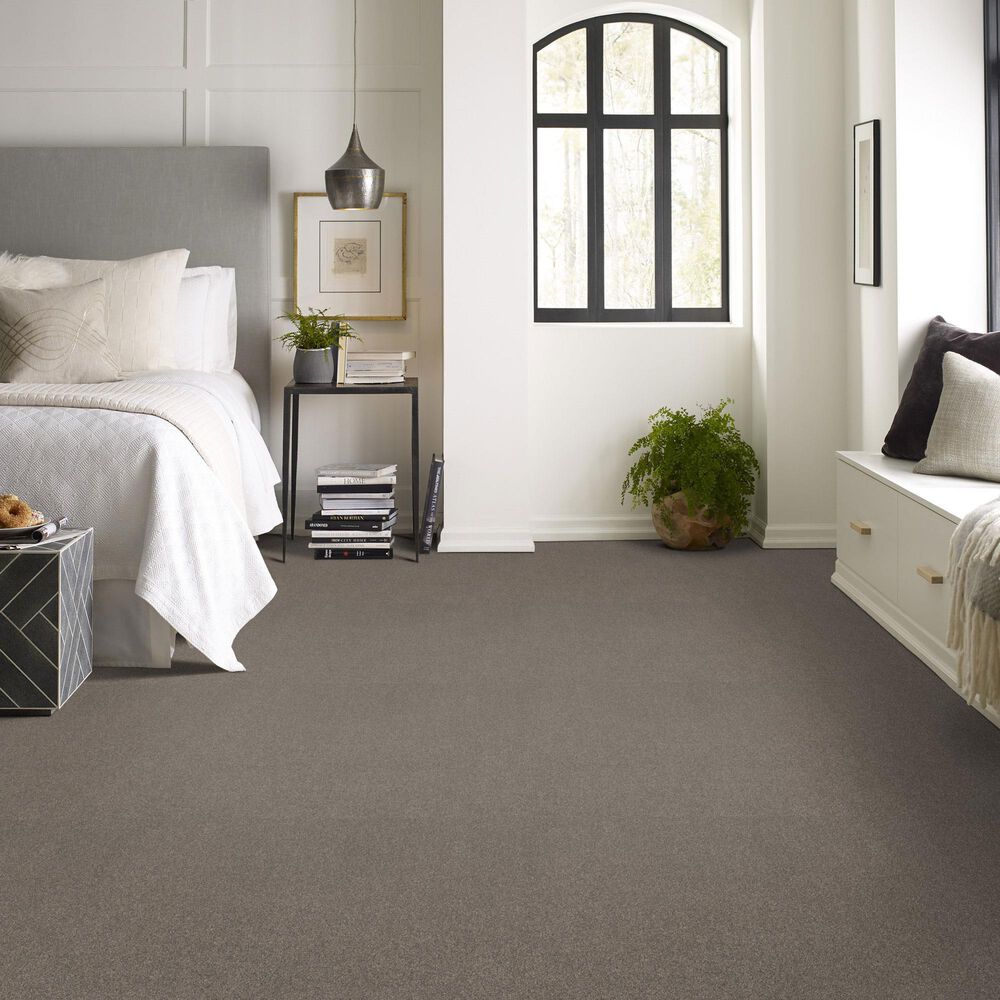 Shaw New Memories T Carpet in Hideaway, , large