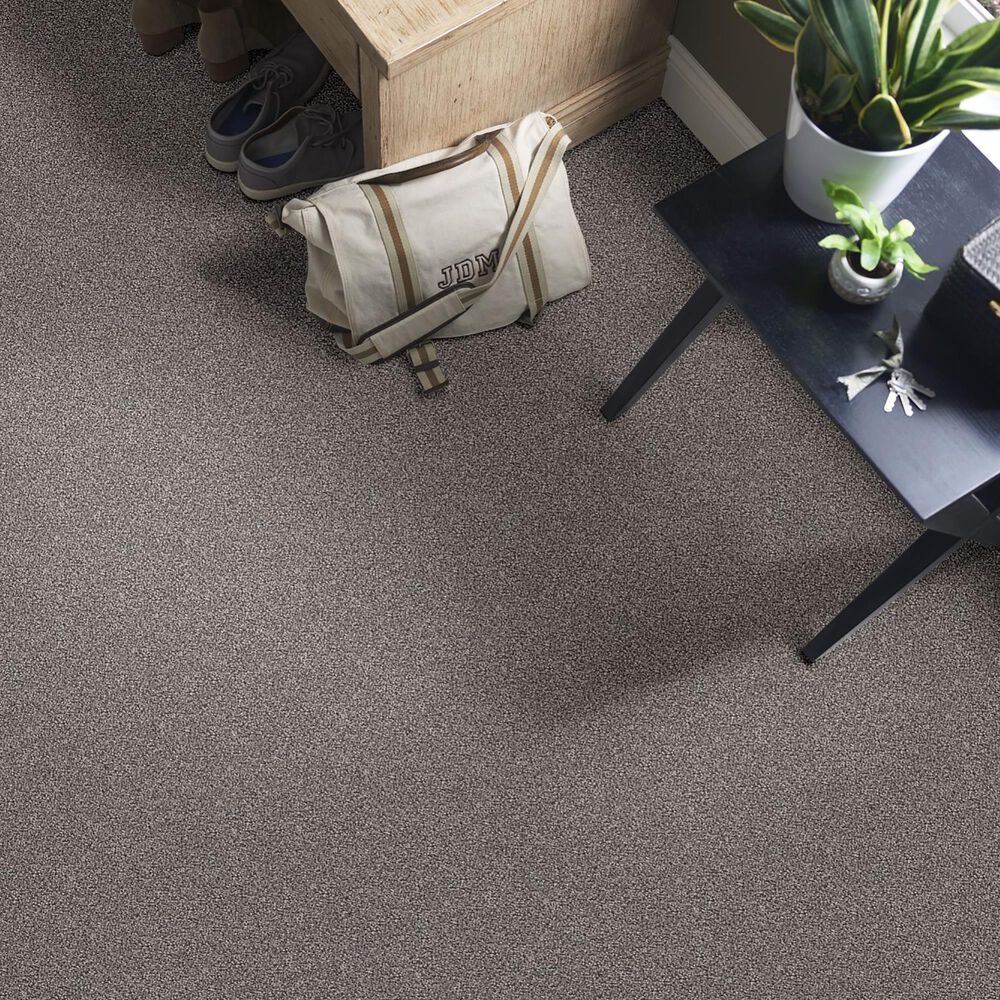 Shaw Influencer Carpet in River Run, , large
